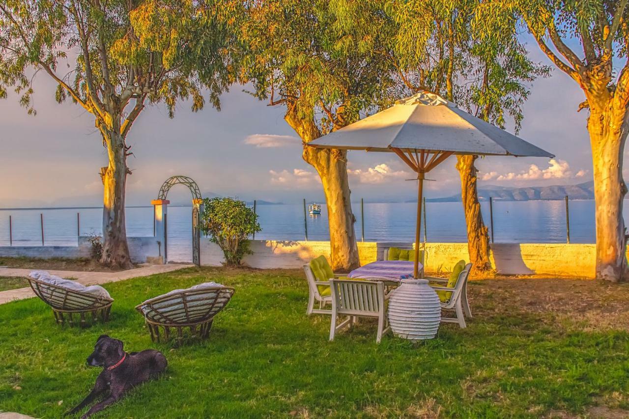 Lemami Seafront Bungalows Kávos Eksteriør billede